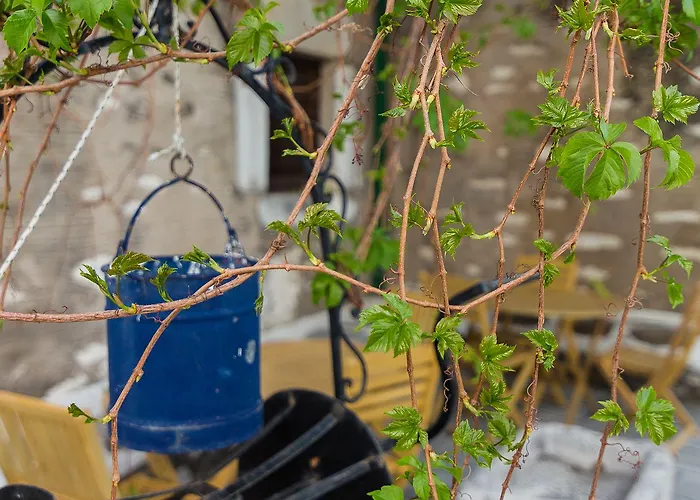 Hotell Captain Manolis 2*